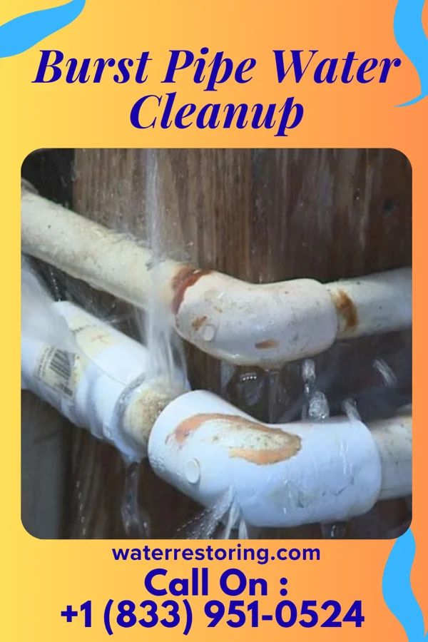 Burst Pipe Water Cleanup in Sasakwa, OK