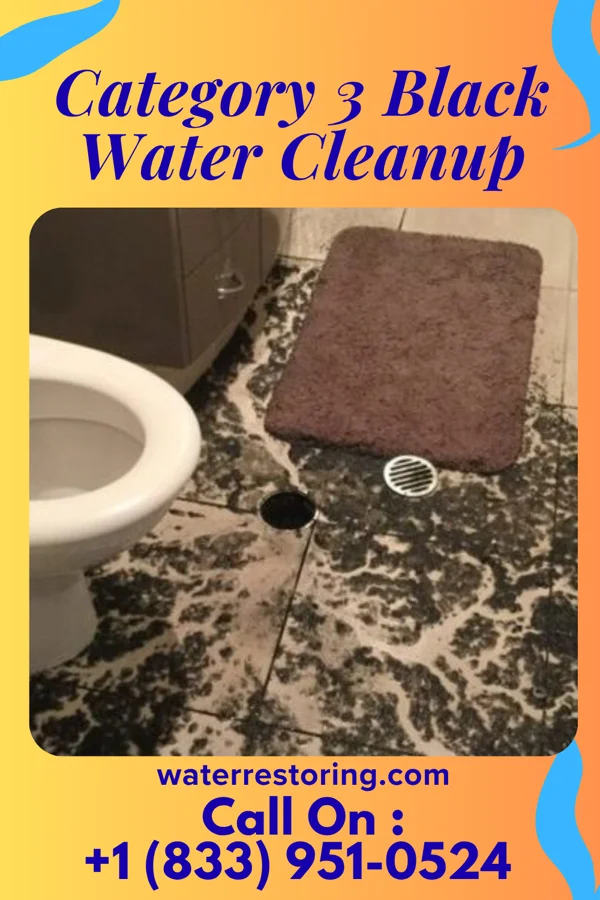Category 3 Black Water Cleanup in Sasakwa, OK