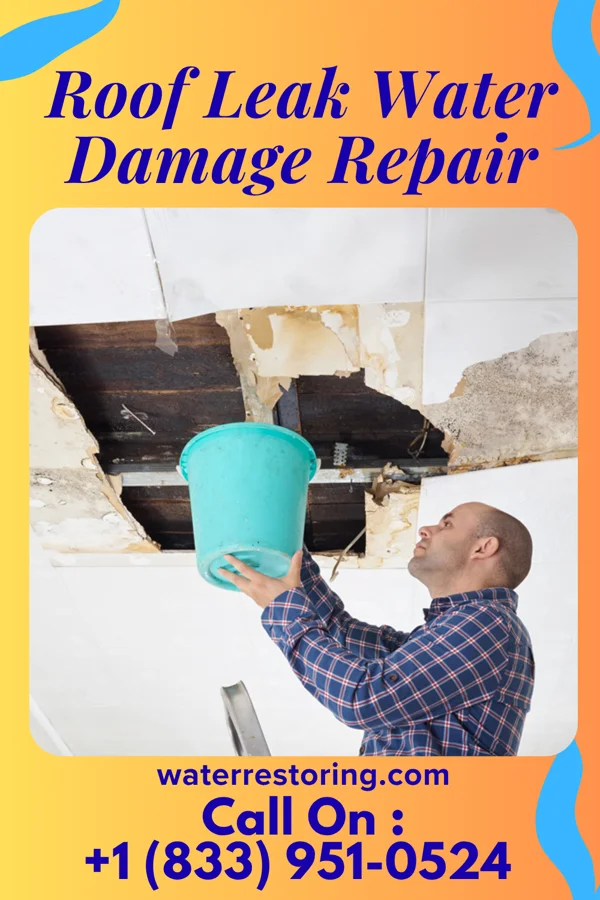 Roof Leak Water Damage Repair in Sasakwa, OK